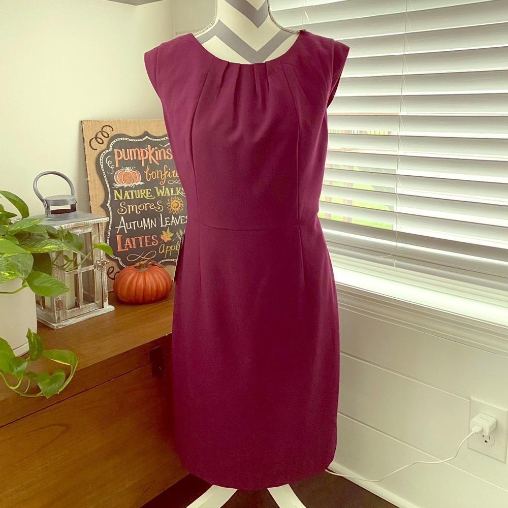 The Limited Dress